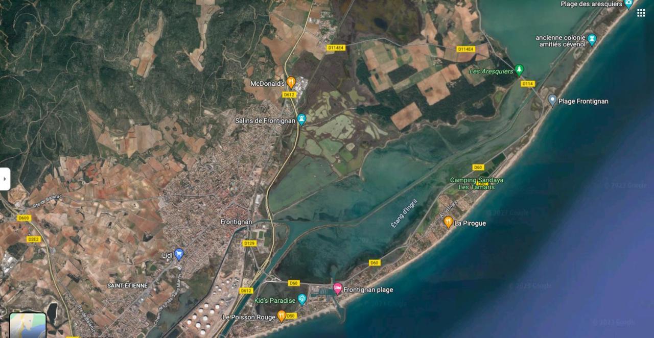 La Perle Bleue, 100 M De La Plage, Parking, Wifi Frontignan Esterno foto